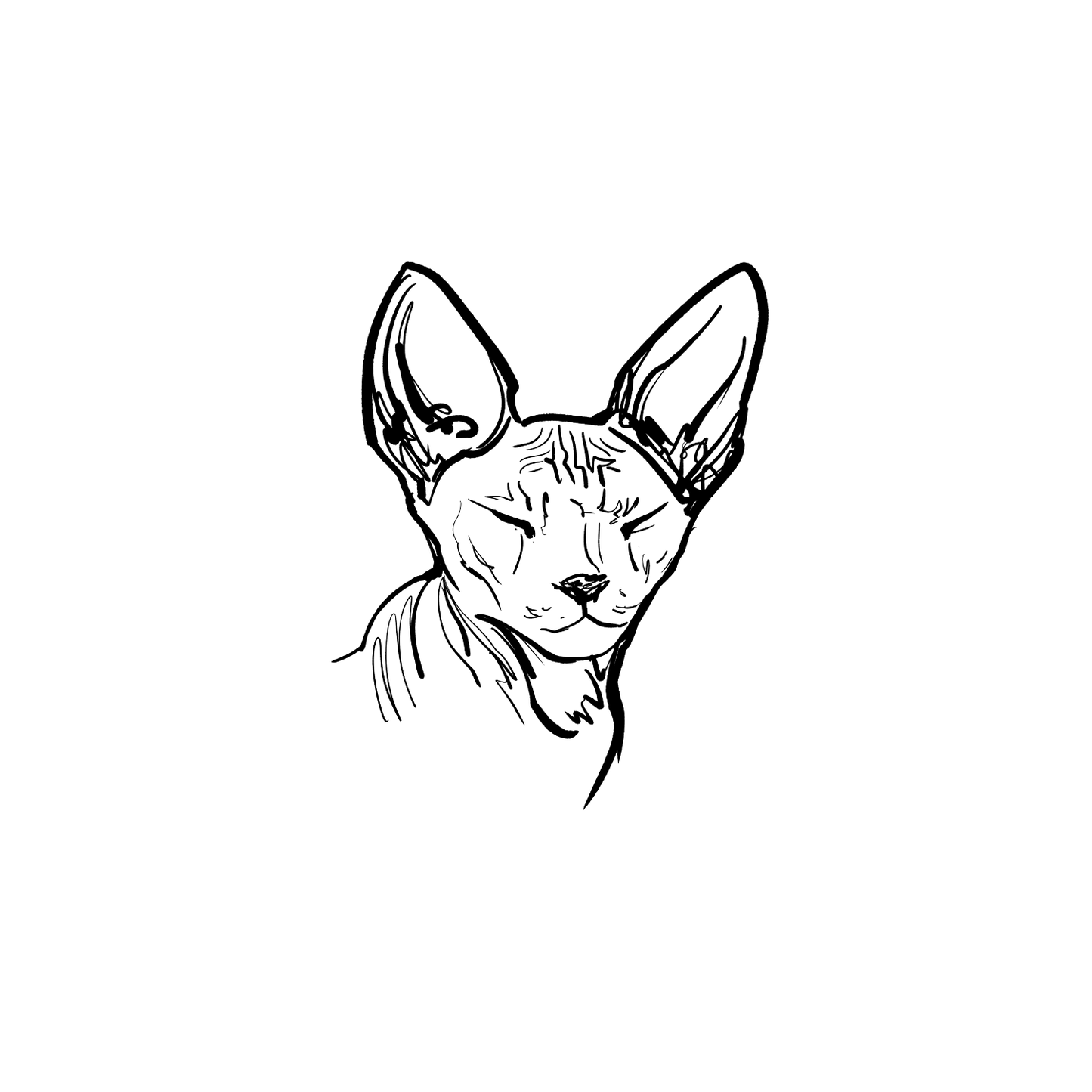 斯芬克斯盲盒：半永久紋身