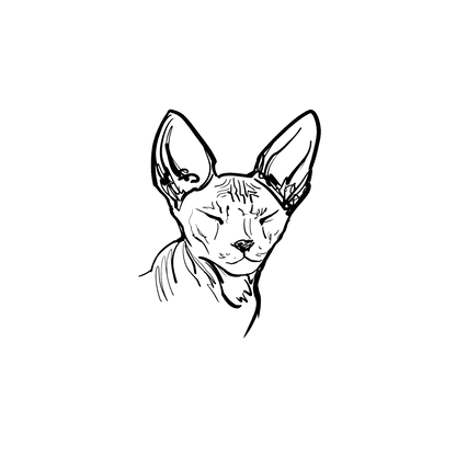 斯芬克斯盲盒：半永久紋身