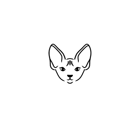 斯芬克斯盲盒：半永久紋身