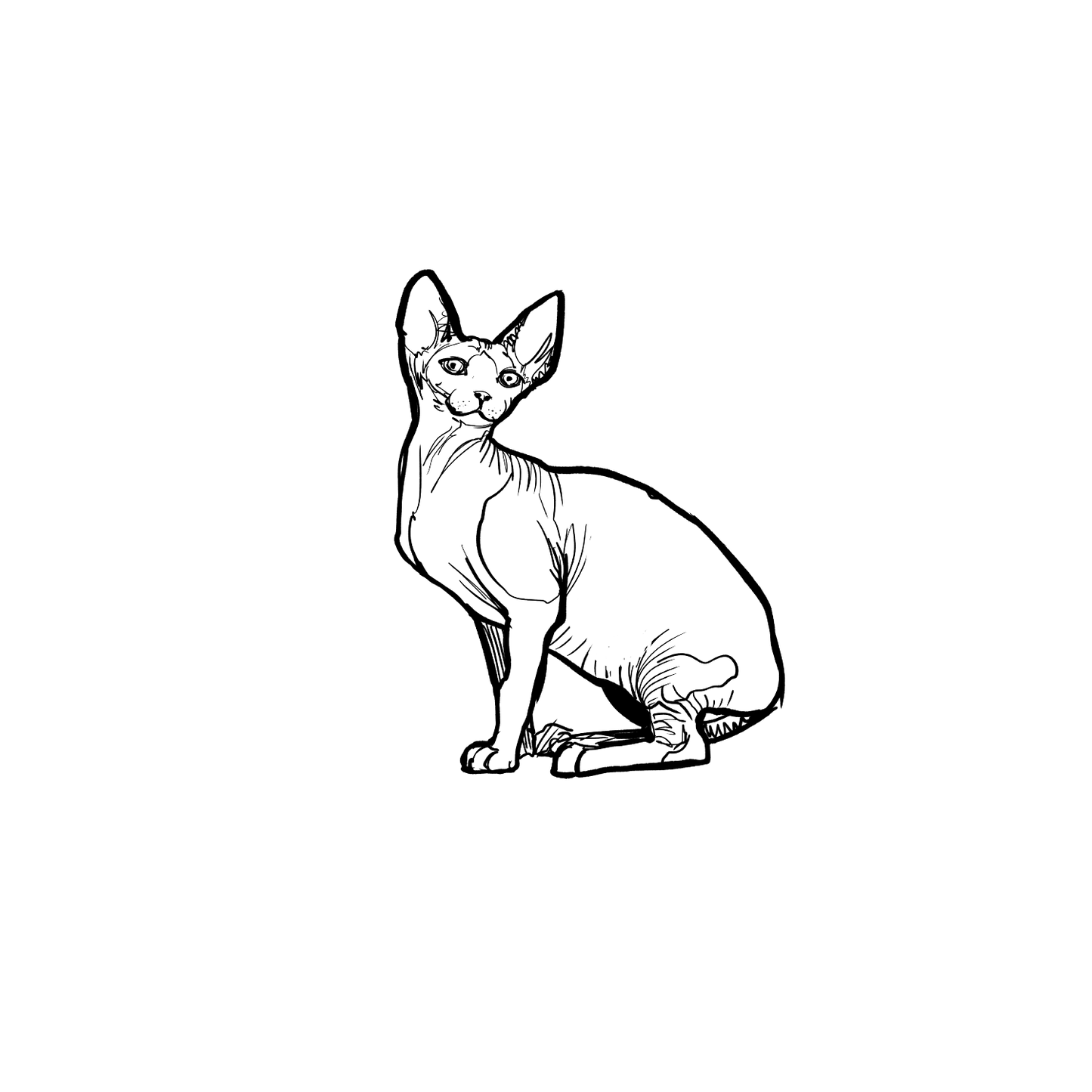 斯芬克斯盲盒：半永久紋身