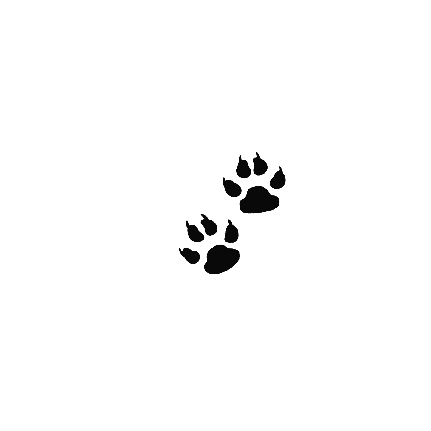 斯芬克斯盲盒：半永久紋身