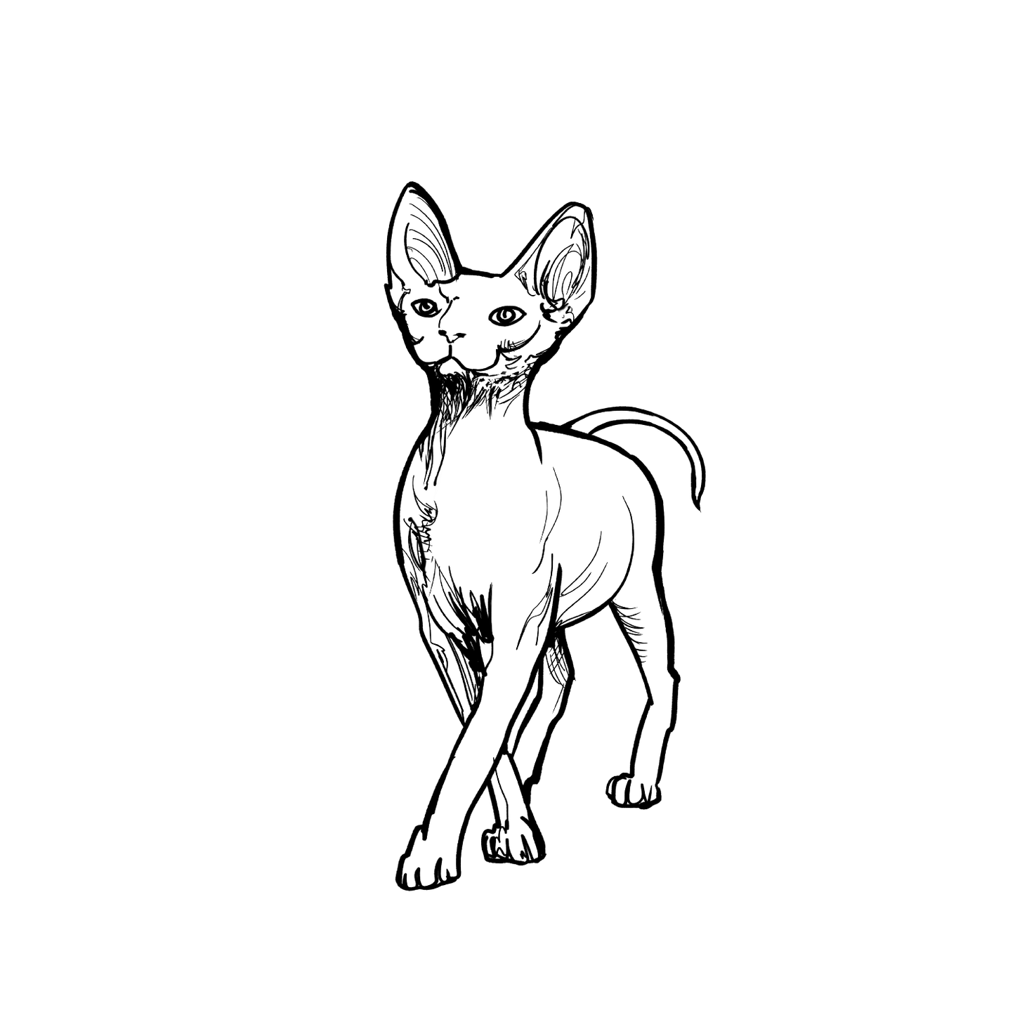 斯芬克斯盲盒：半永久紋身