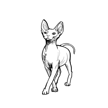 斯芬克斯盲盒：半永久紋身
