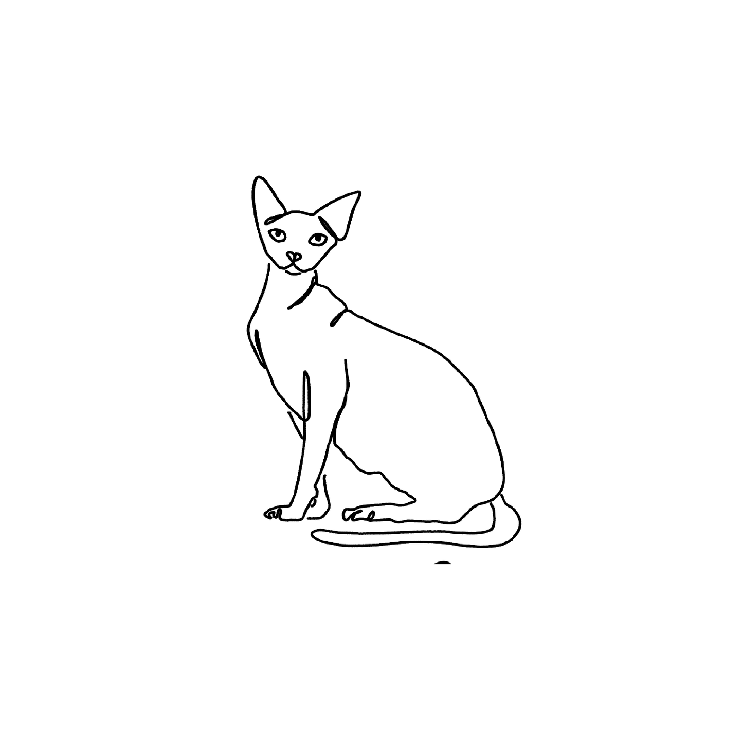 斯芬克斯盲盒：半永久紋身