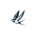 Fly