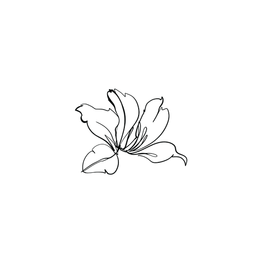 香港蘭花1