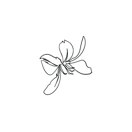 香港蘭花2