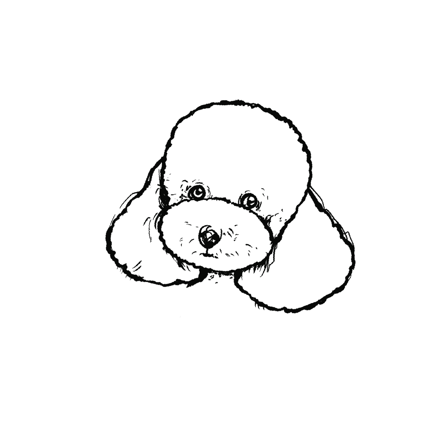 貴賓狗盲盒：半永久紋身