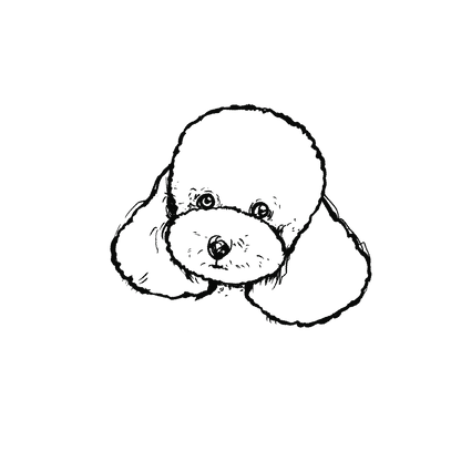 貴賓狗盲盒：半永久紋身