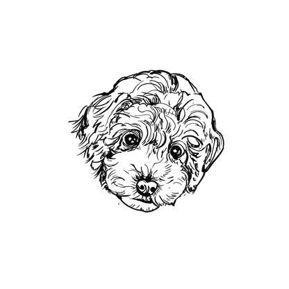 貴賓狗盲盒：半永久紋身