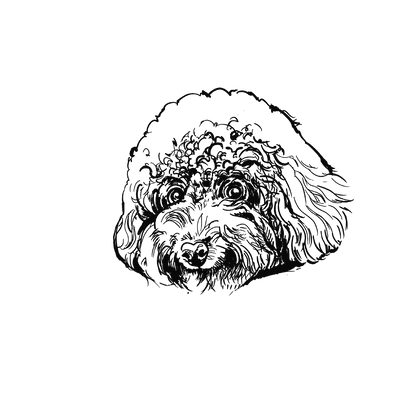 貴賓狗盲盒：半永久紋身
