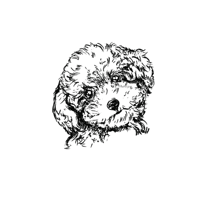 貴賓狗盲盒：半永久紋身