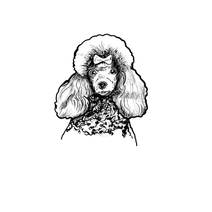 貴賓狗盲盒：半永久紋身