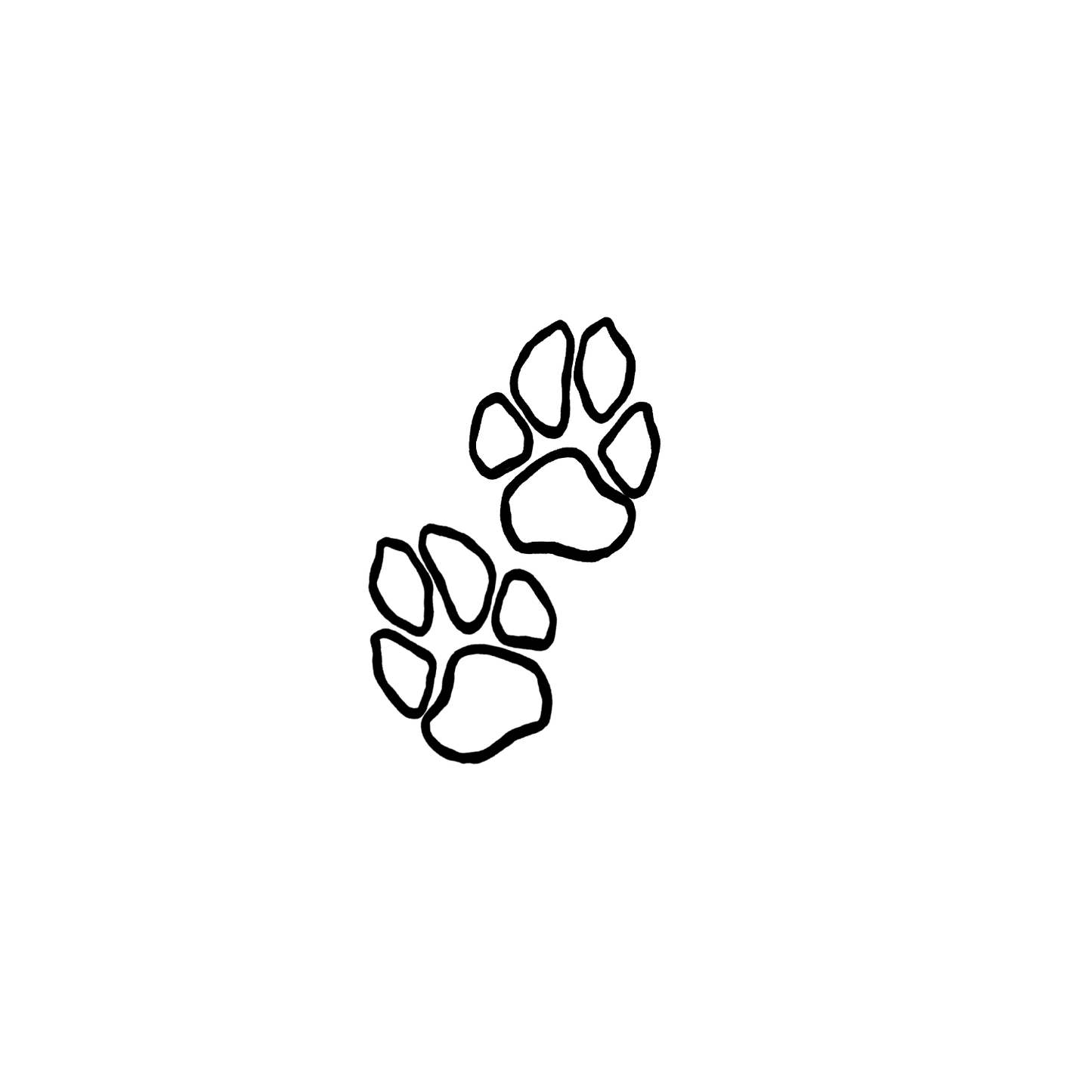 貴賓狗盲盒：半永久紋身