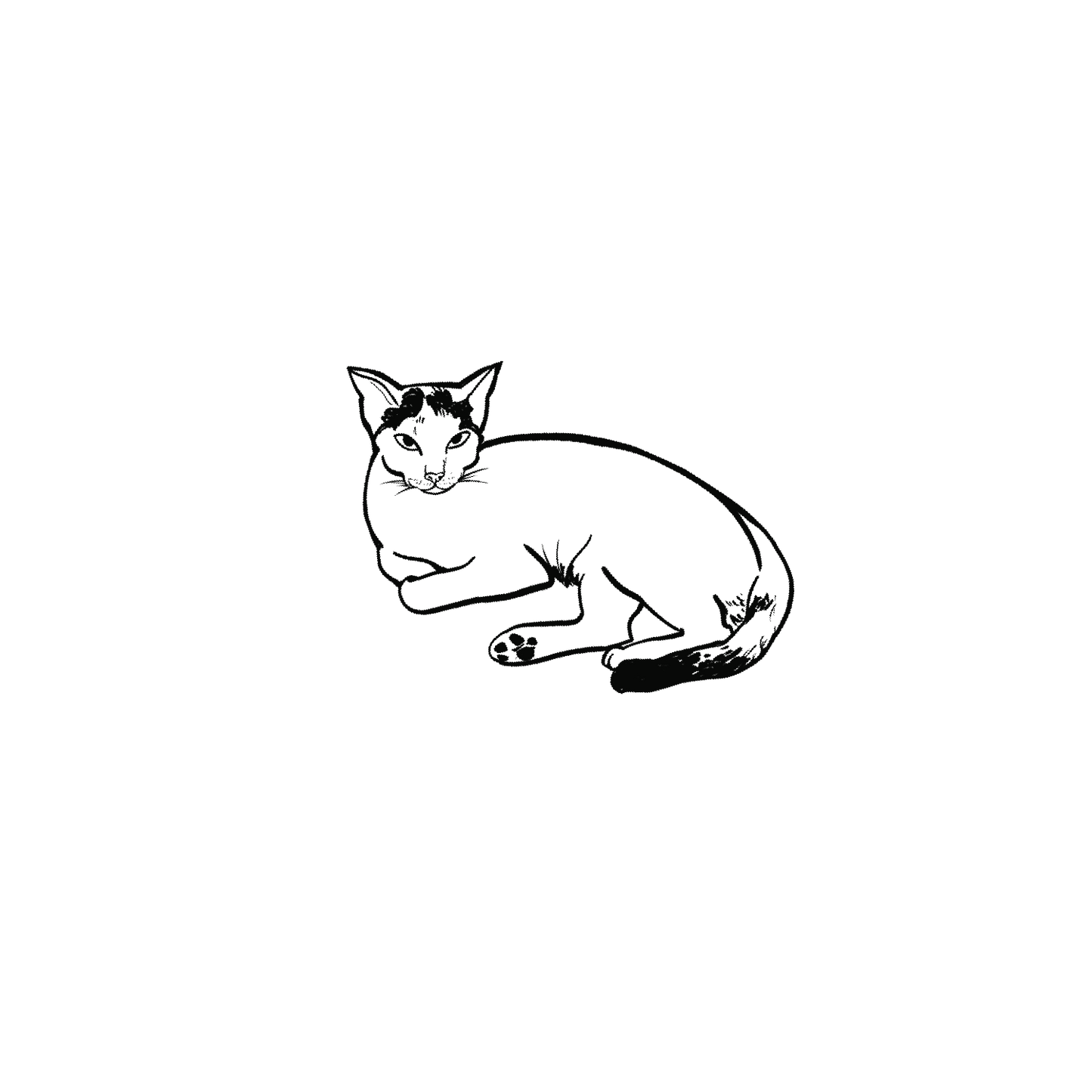 Oh My Ink x SPCA temporary tattoo - Domestic Cat 6