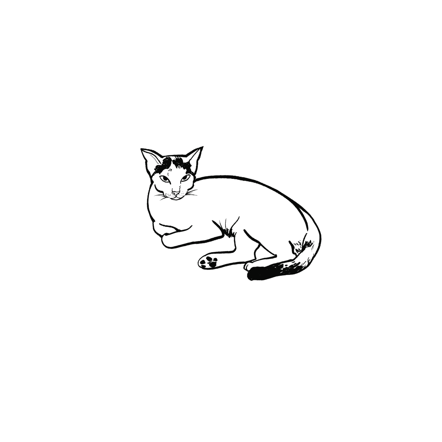 Oh My Ink x SPCA temporary tattoo - Domestic Cat 6