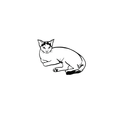 Oh My Ink x SPCA temporary tattoo - Domestic Cat 6