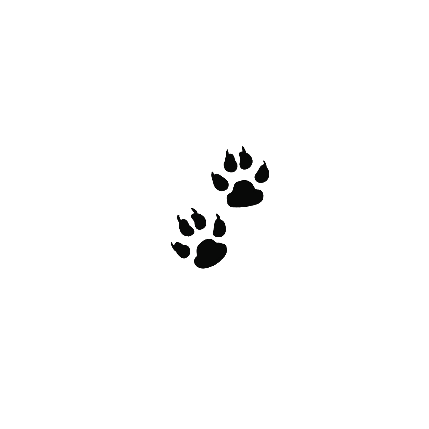 Oh My Ink x SPCA temporary tattoo - Cat Paw Prints