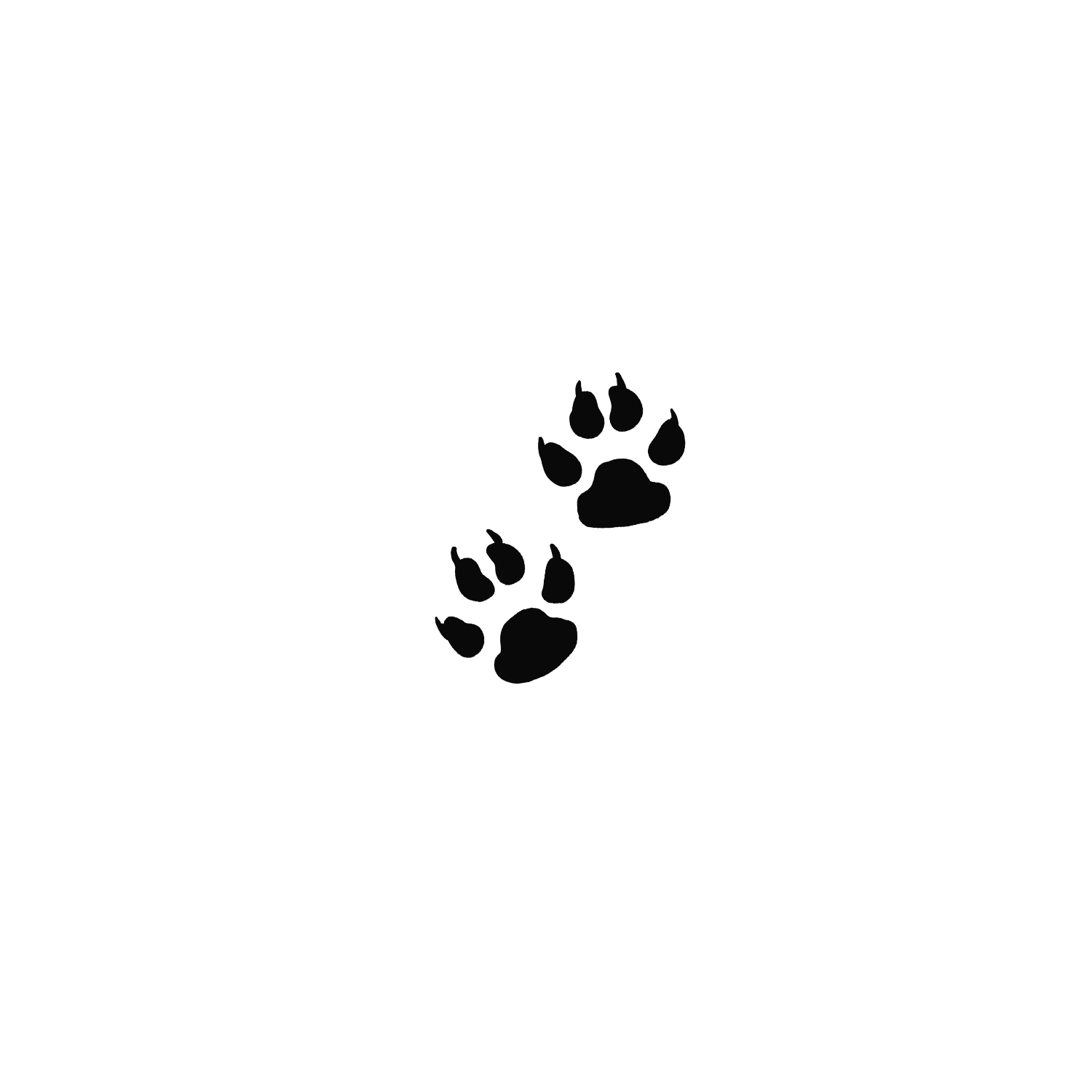 Oh My Ink x SPCA temporary tattoo - Cat Paw Prints