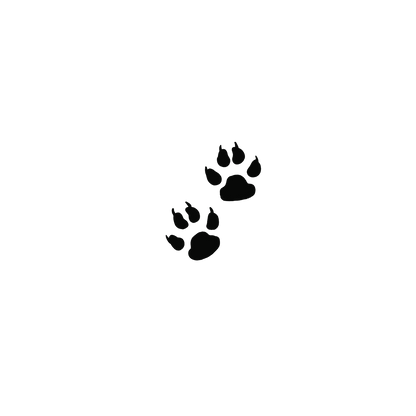 Oh My Ink x SPCA temporary tattoo - Cat Paw Prints