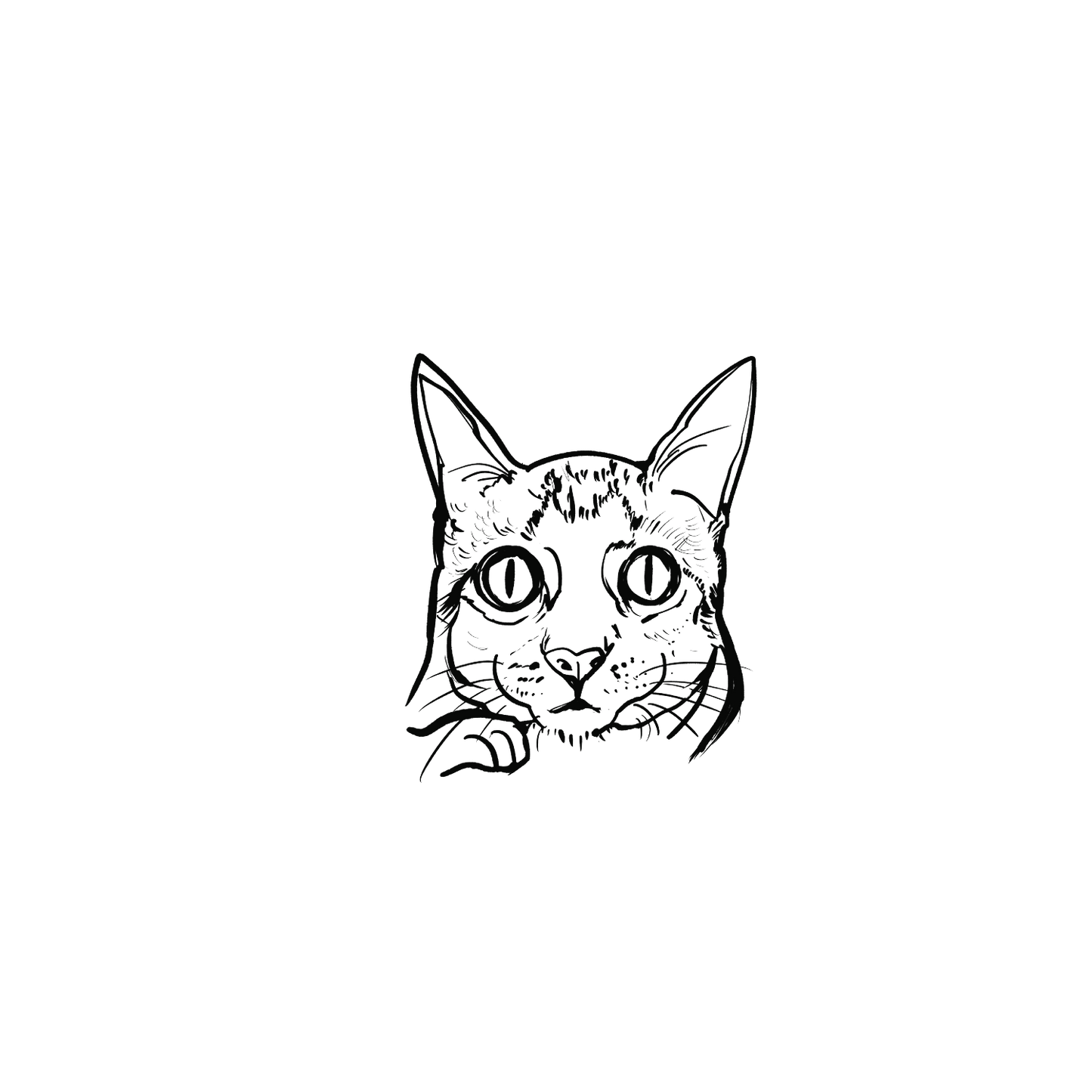 Oh My Ink x SPCA temporary tattoo - Domestic Cat 11