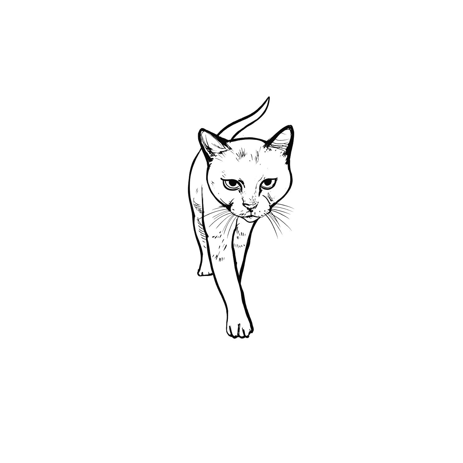 Oh My Ink x SPCA temporary tattoo - Domestic Cat 10