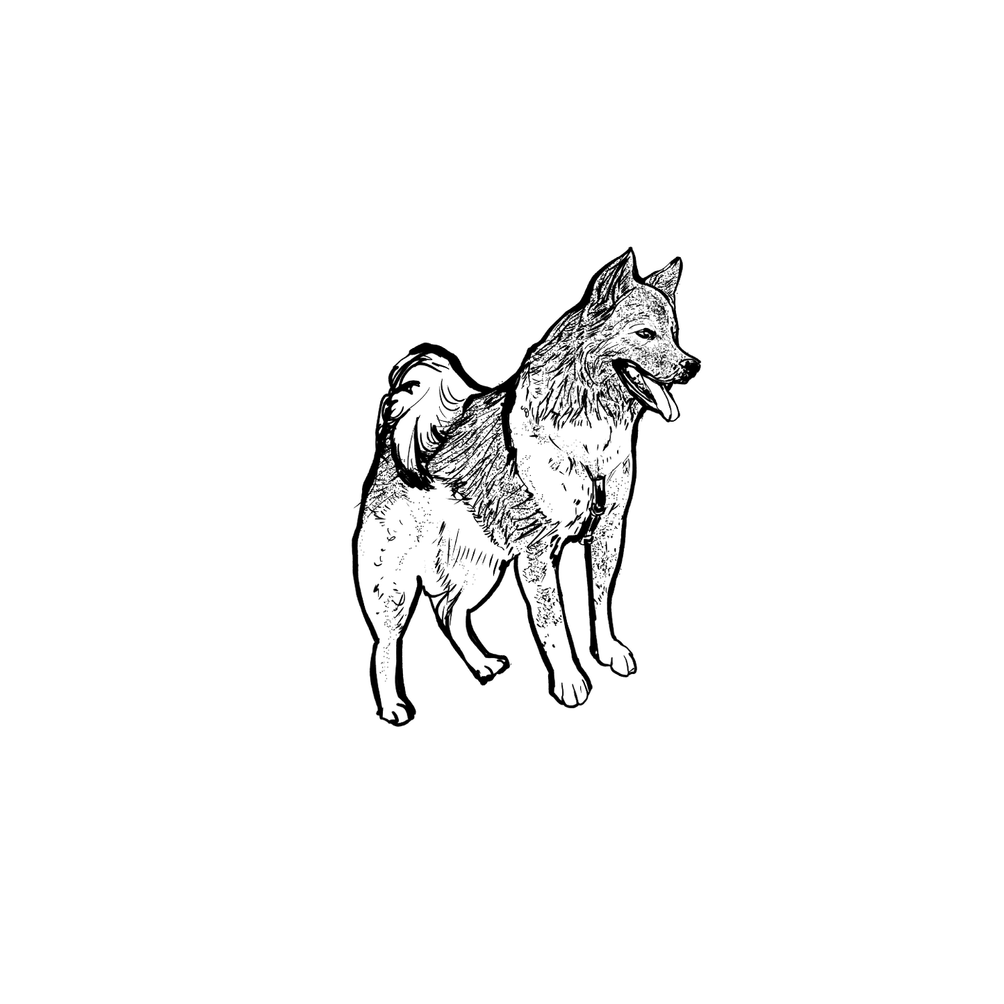 Mongrel盲盒：半永久紋身