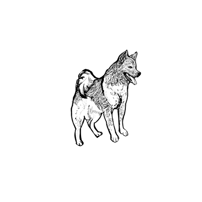 Mongrel盲盒：半永久紋身