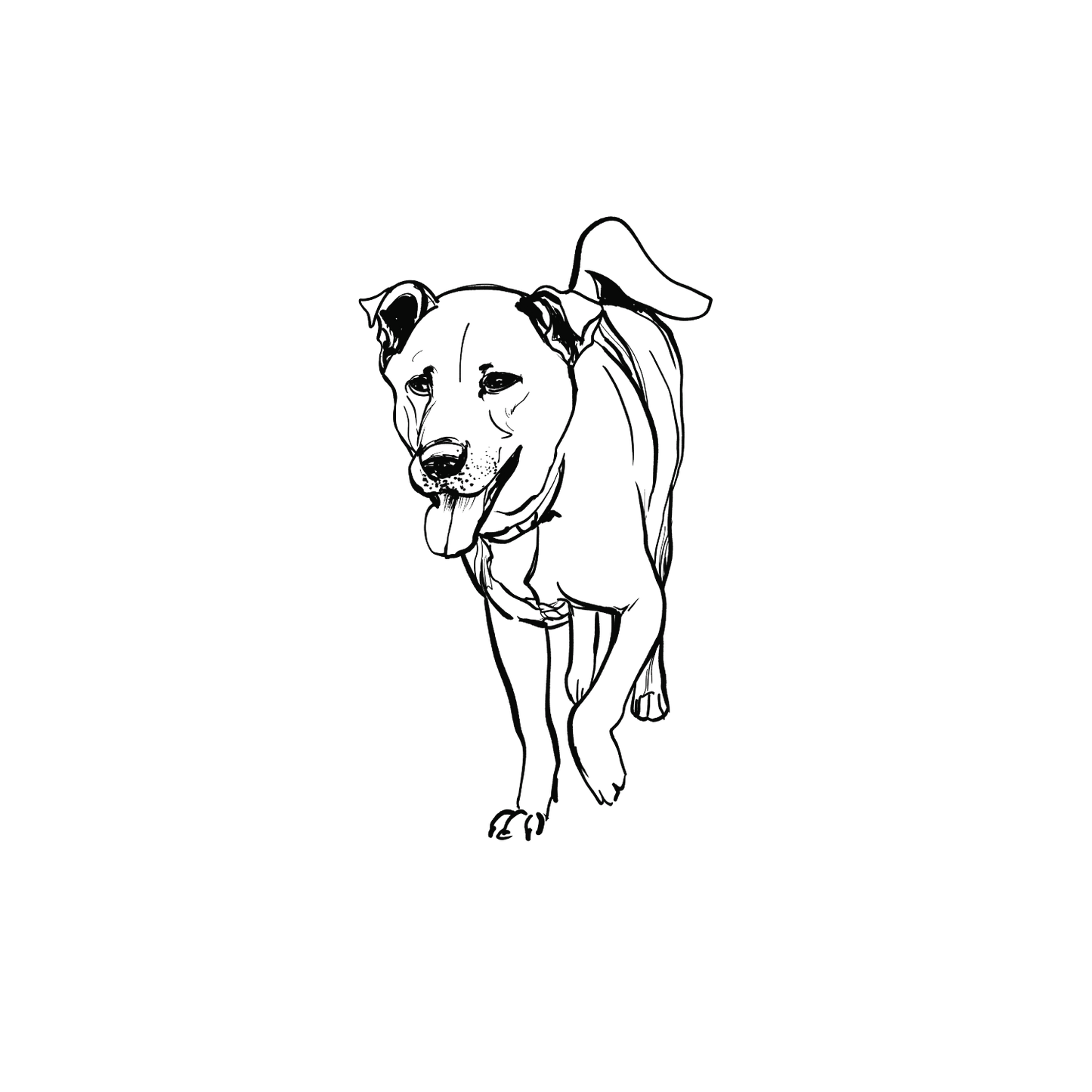 Mongrel盲盒：半永久紋身