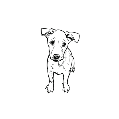 Mongrel盲盒：半永久紋身