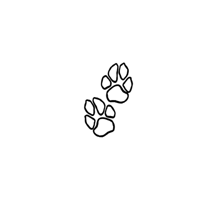 Mongrel盲盒：半永久紋身