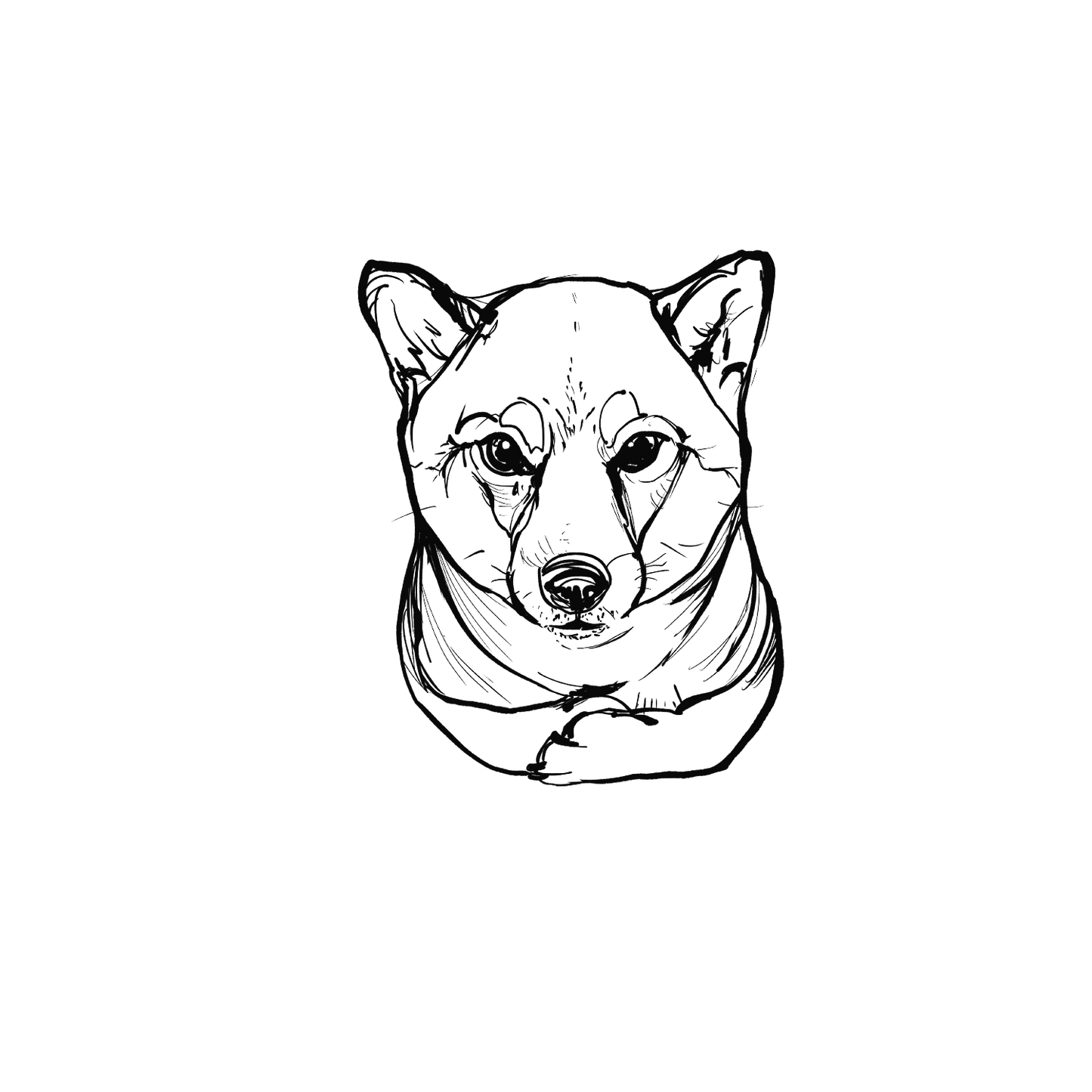 柴犬盲盒：半永久紋身