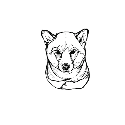 柴犬盲盒：半永久紋身