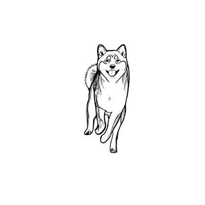 柴犬盲盒：半永久紋身