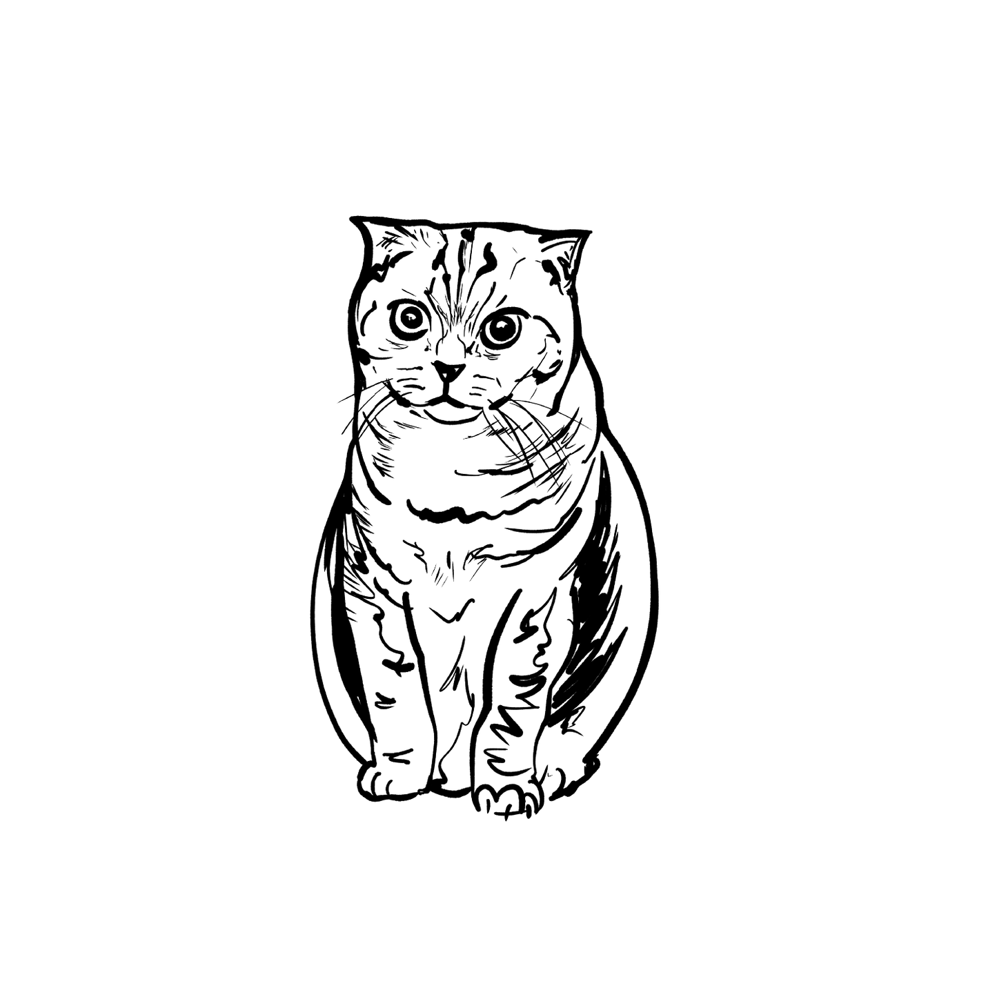 短毛貓盲盒：半永久紋身