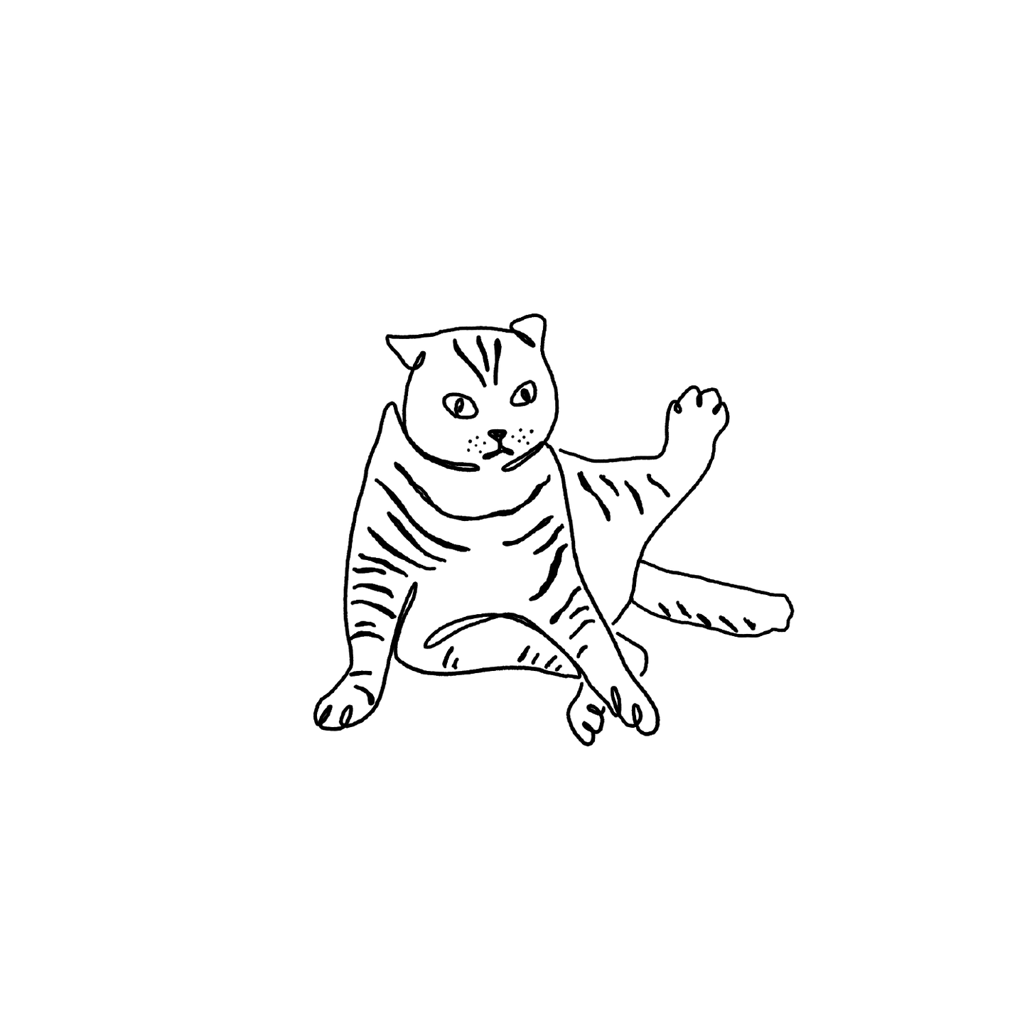 短毛貓盲盒：半永久紋身