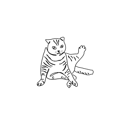 短毛貓盲盒：半永久紋身