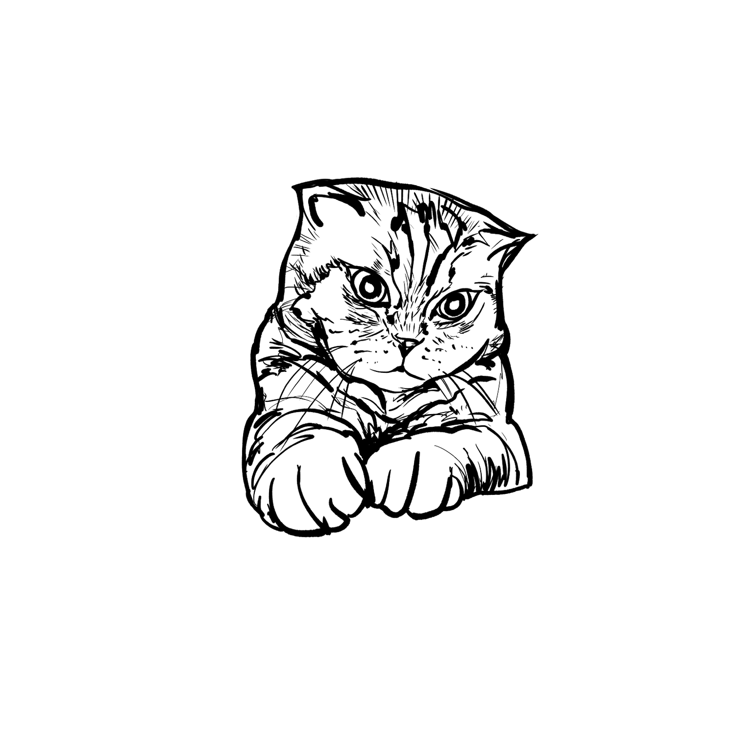 短毛貓盲盒：半永久紋身