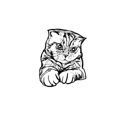 短毛貓盲盒：半永久紋身