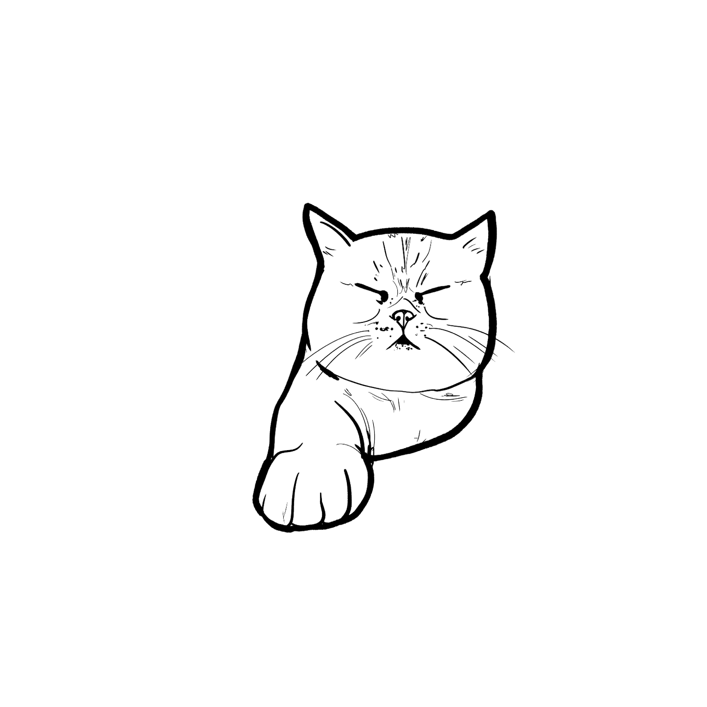 短毛貓盲盒：半永久紋身