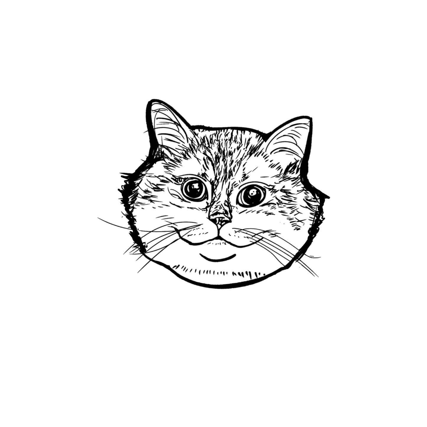 短毛貓盲盒：半永久紋身
