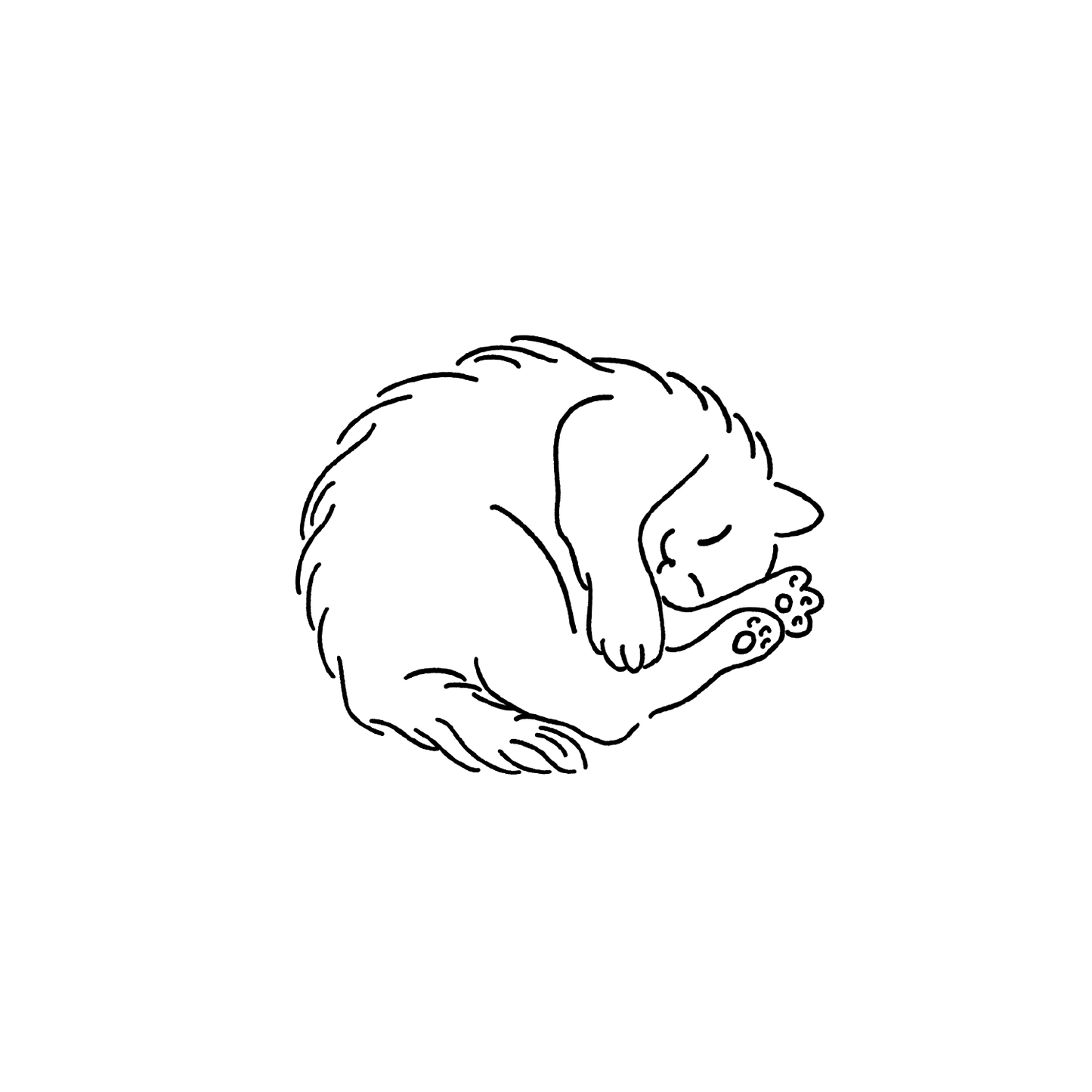 長毛貓盲盒：半永久紋身
