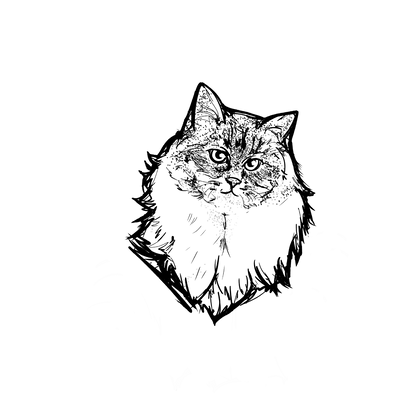 長毛貓盲盒：半永久紋身
