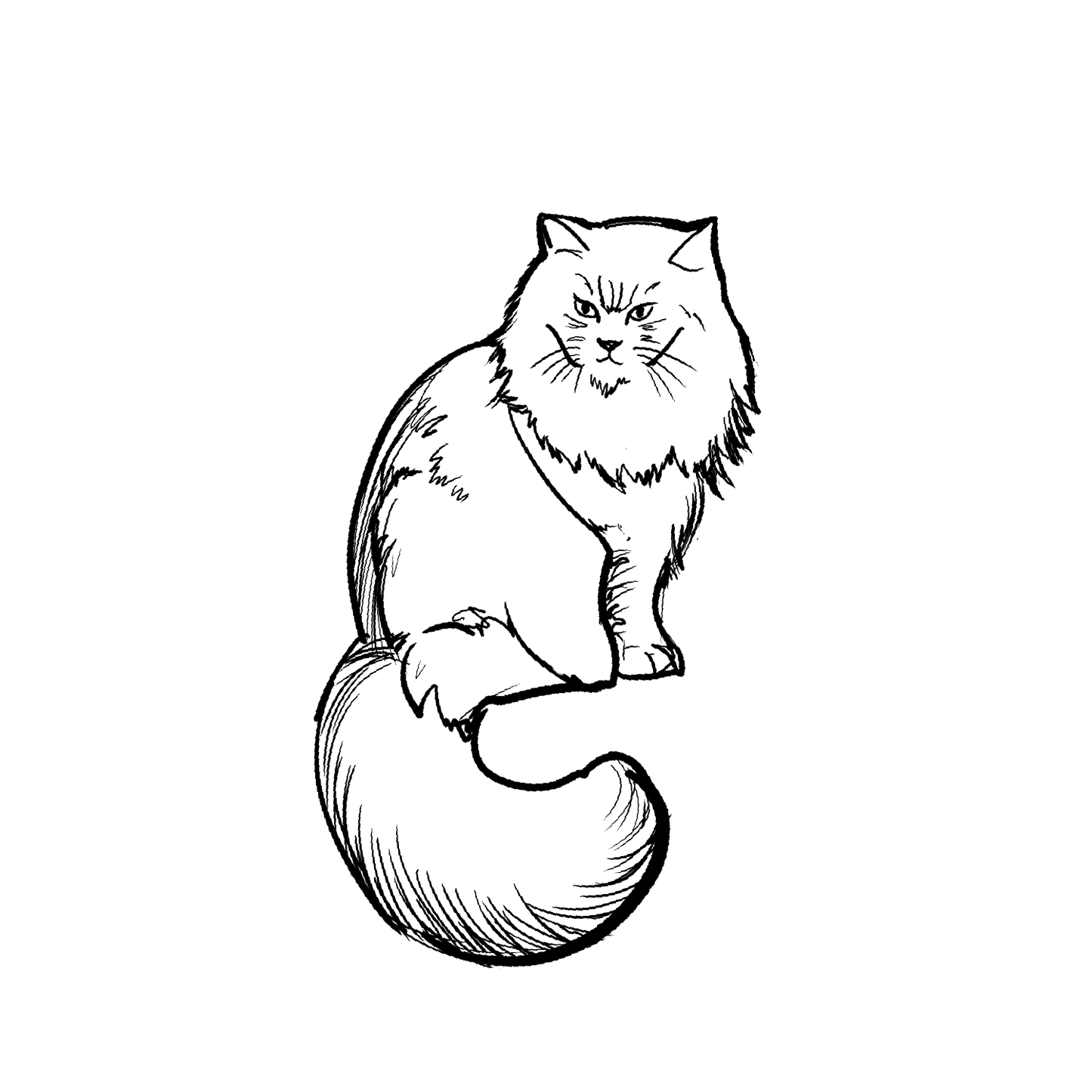 長毛貓盲盒：半永久紋身