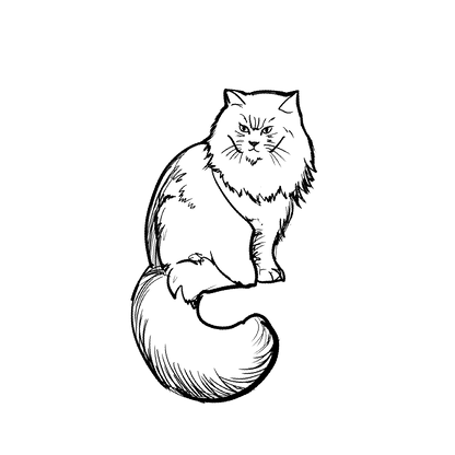 長毛貓盲盒：半永久紋身